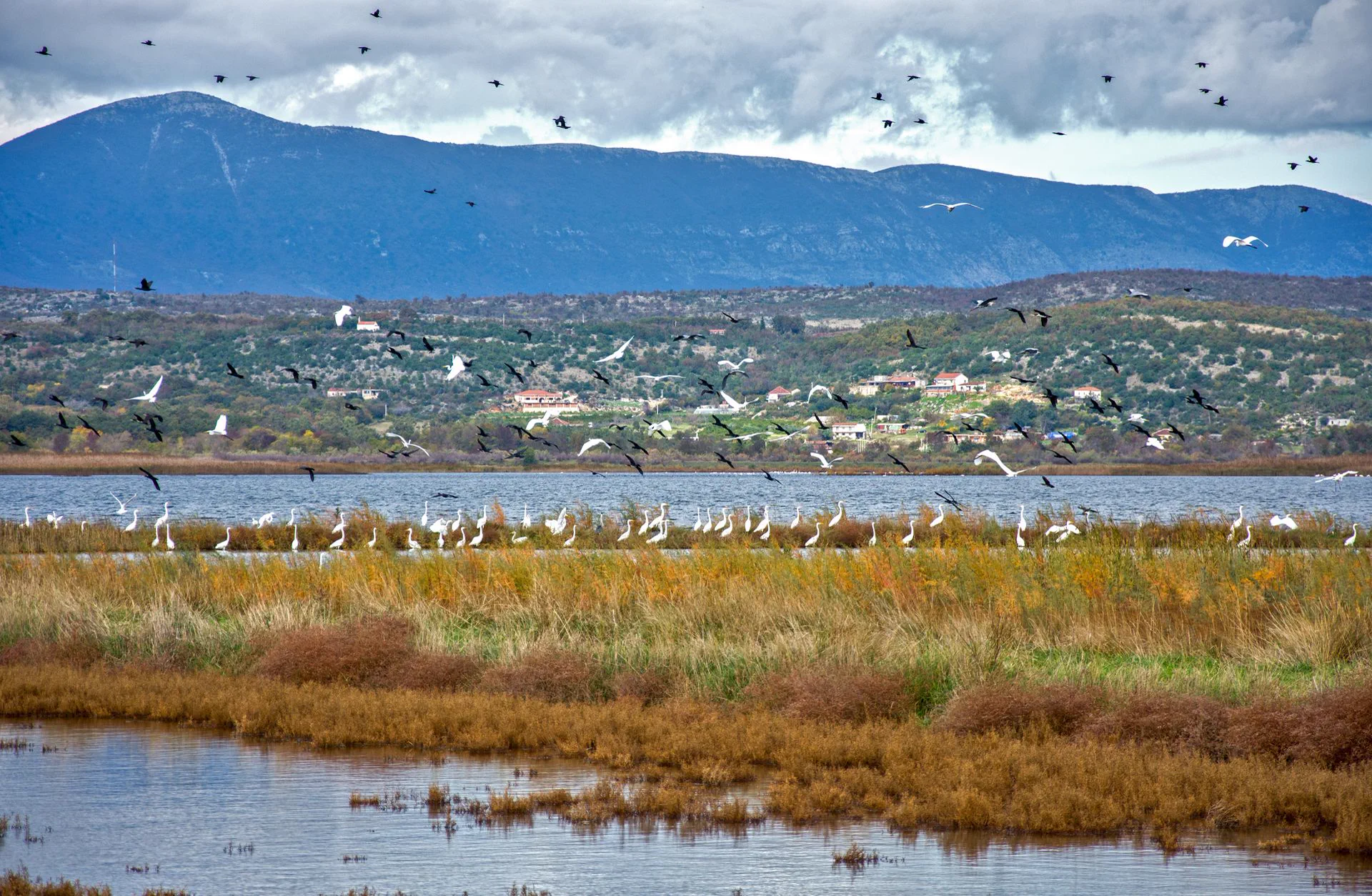 Ulcinj Salina nature reserve