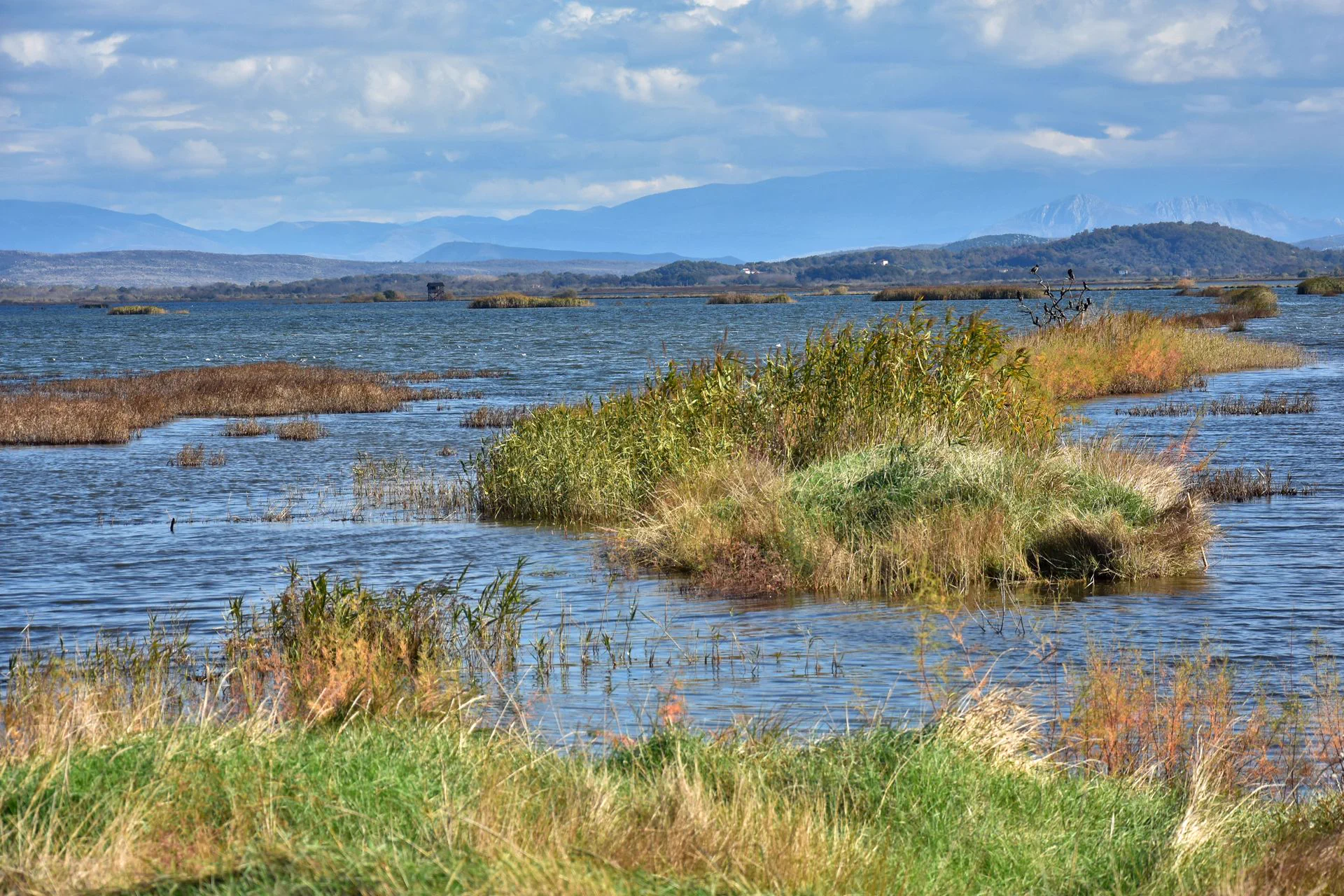 The Bojana delta and Ulcinj Salina wetlands