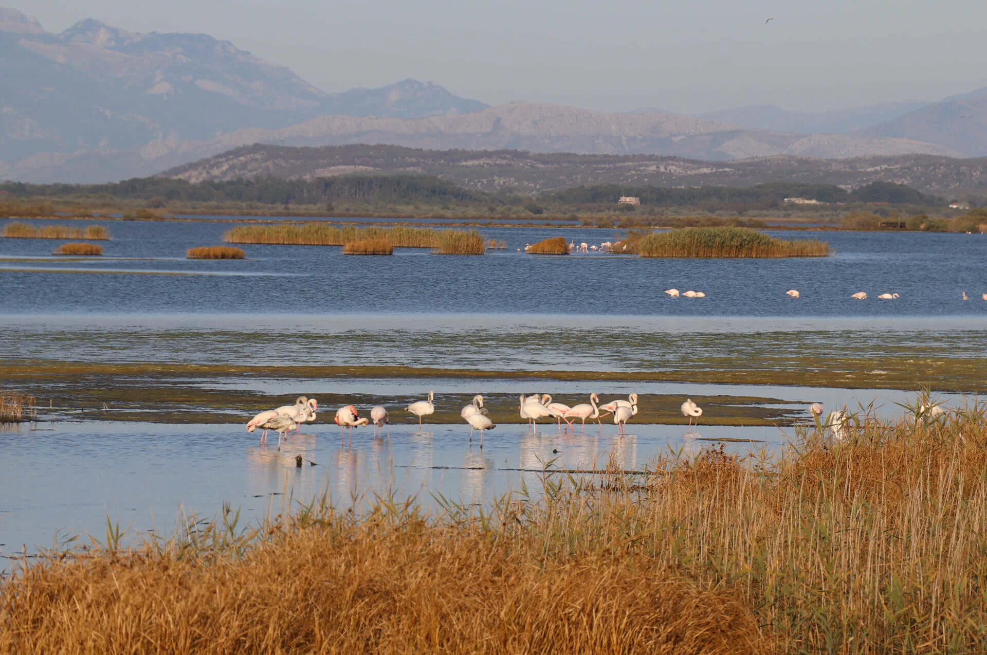 Open salt pans at Ulcinj Salina