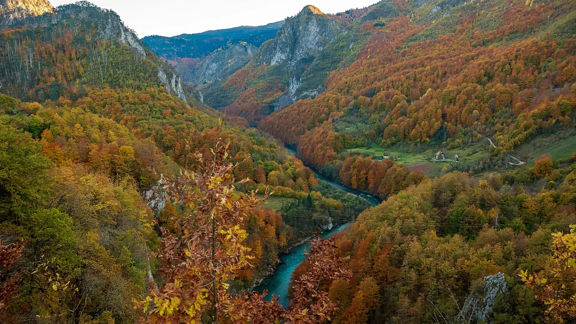 Autumn forest surrounding a river canyon in Montenegro