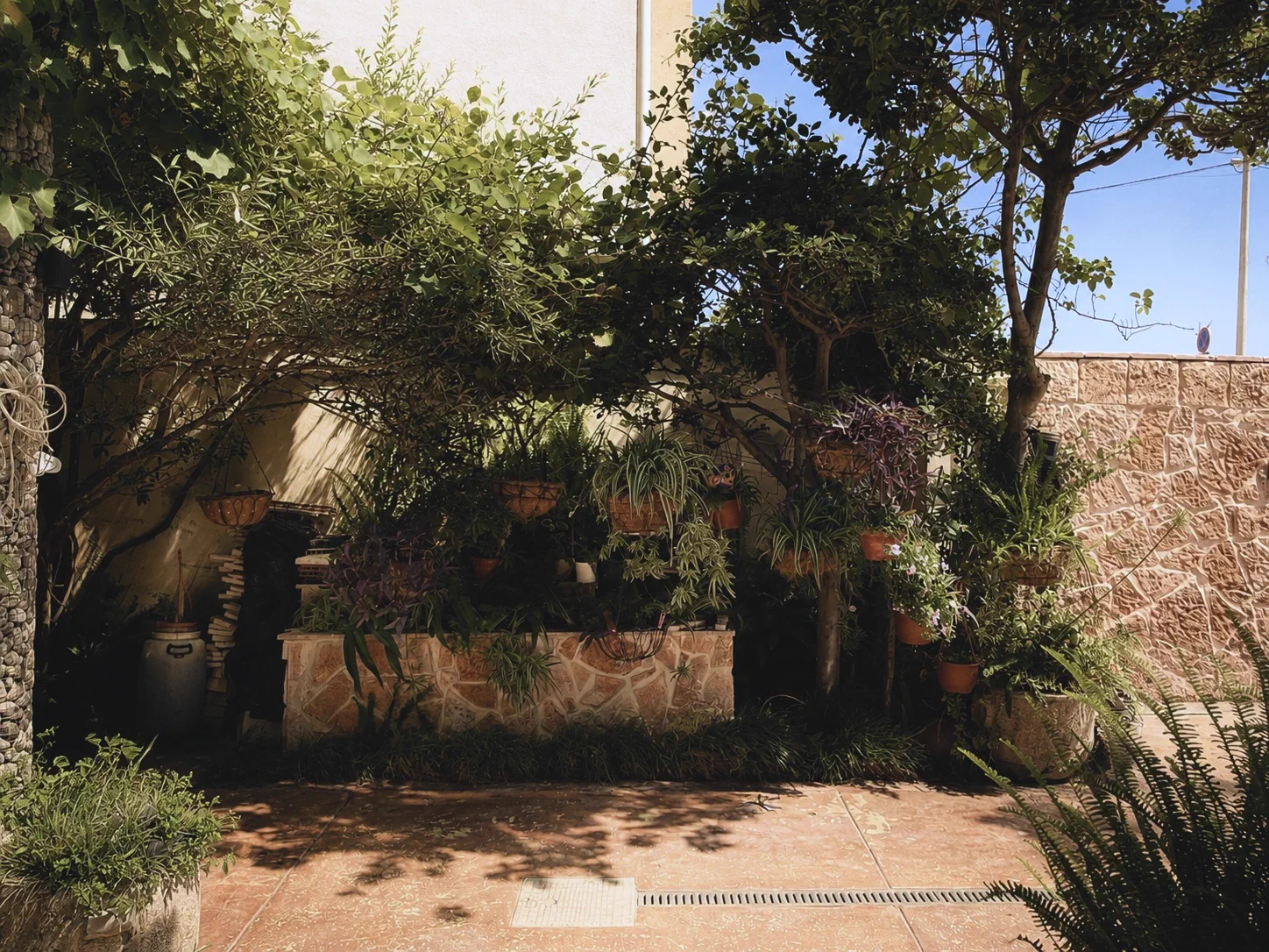 Green villa courtyard