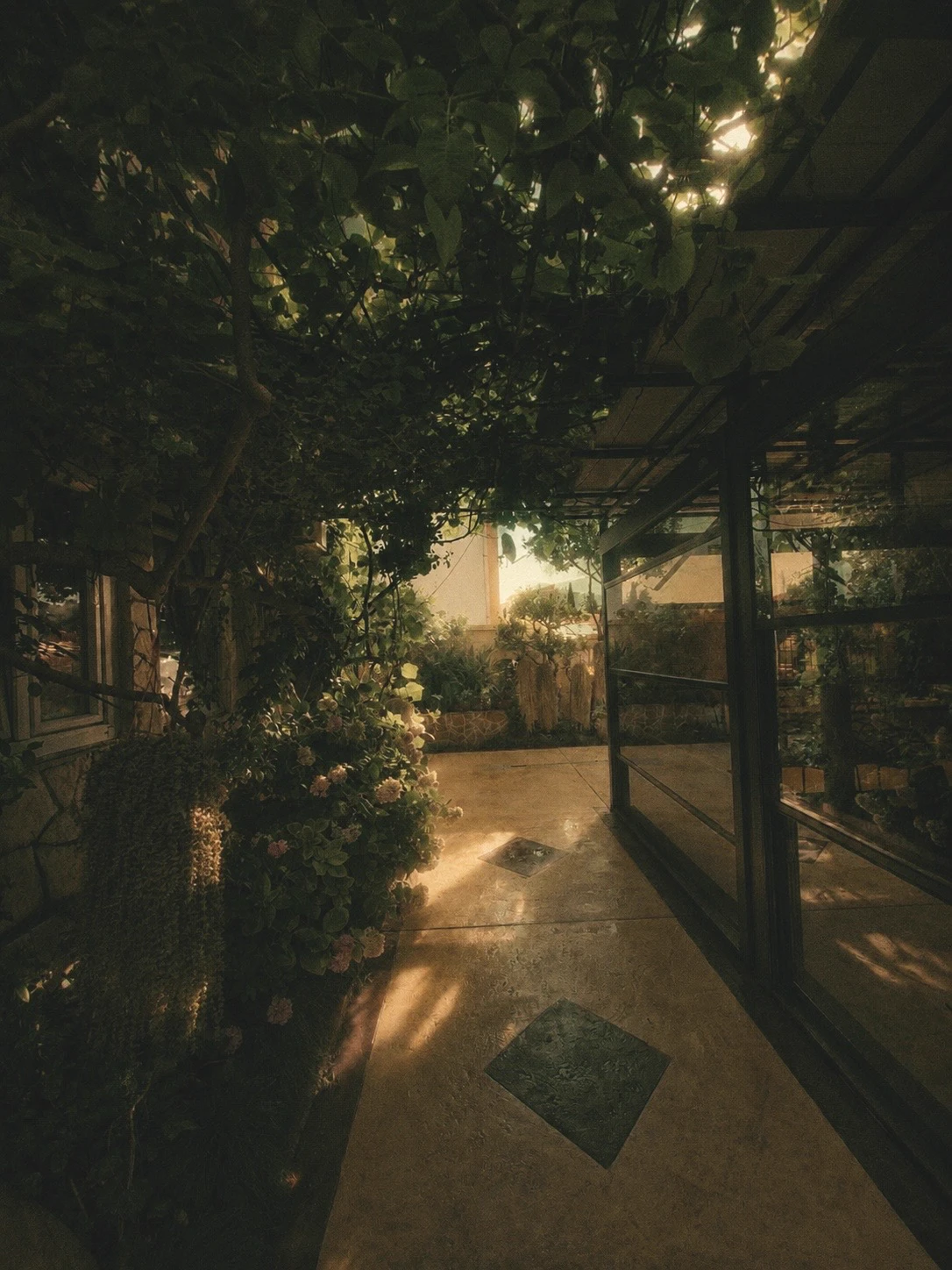 Garden around iTiS Villa